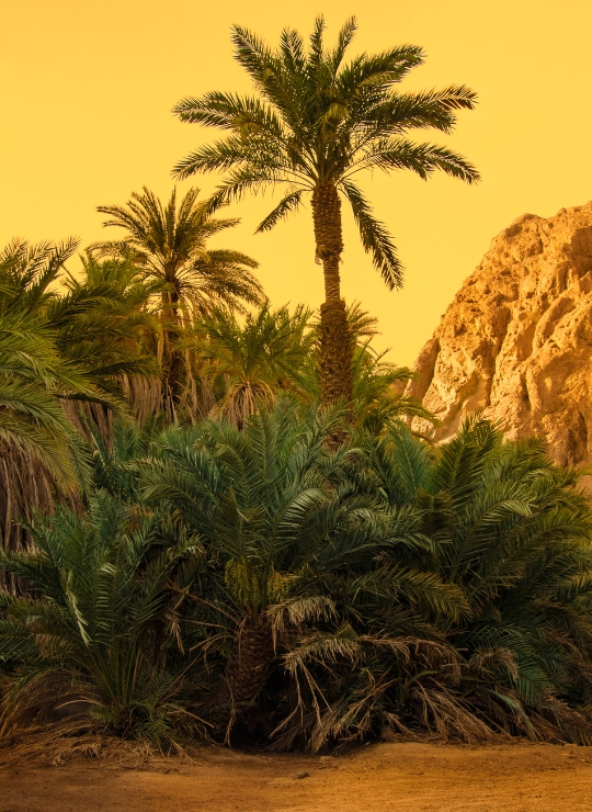 Naturschutzgebiete